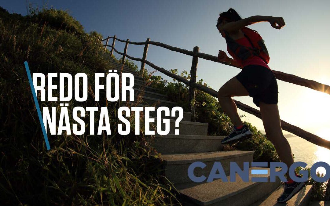 Vi söker en nya IT-konsulter till Canergo!